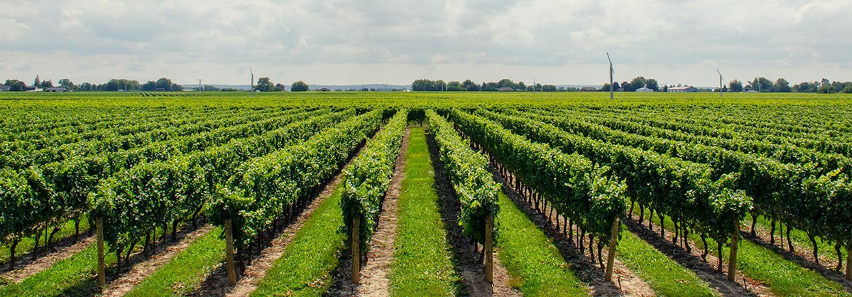 Agricultural Spray Nozzles